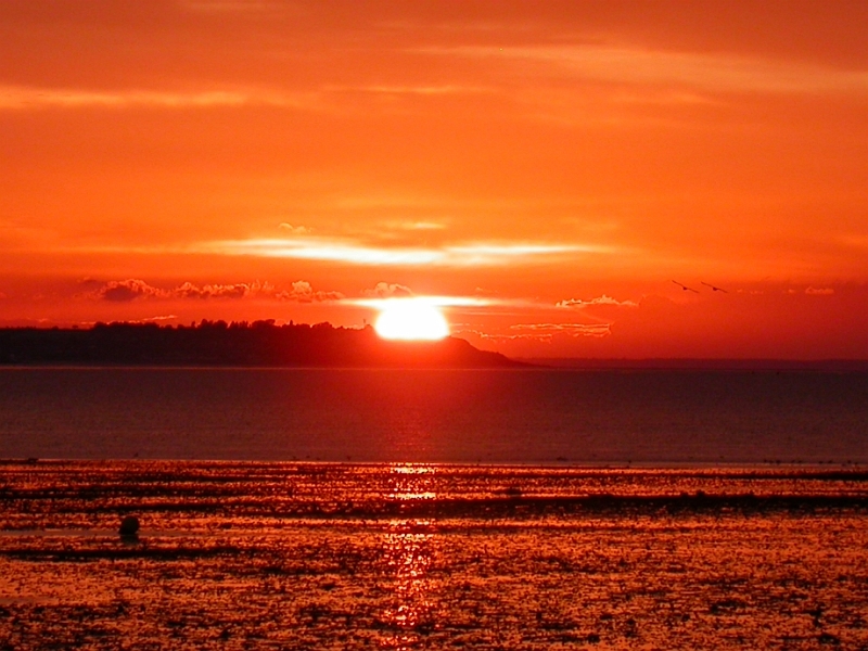 09 - Whitstable Sunset 2.jpg